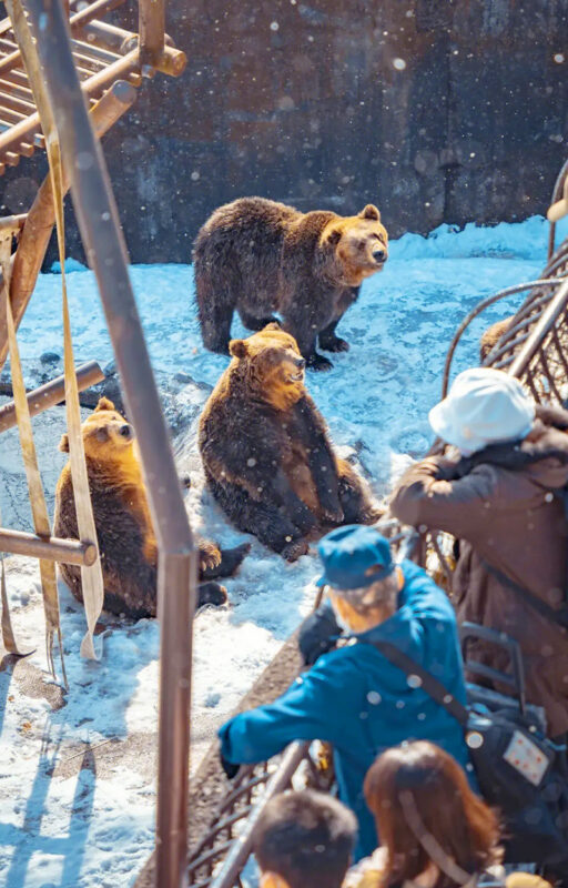 Hokkaido Noboribetsu Toya Lake Otaru Panoramic Day Trip - Should you book this Hokkaido day trip?