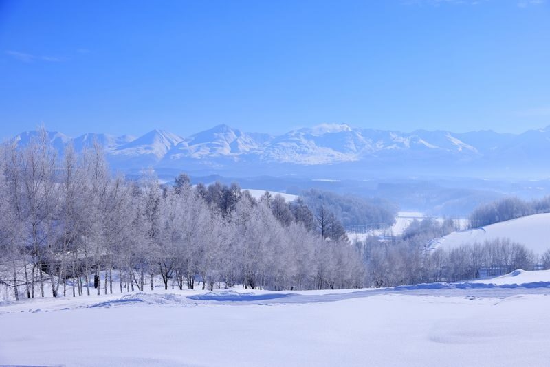 Hokkaido One-Day Tour: Furano Lavender, Blue Pond, Shikisai no Oka, Shirogane Blue Pond, Shirahige Waterfall, Ningle Terrace, Biei Trees, Snowmobile Experience (Departing from Sapporo) - A long ride from Sapporo, with a lot packed in