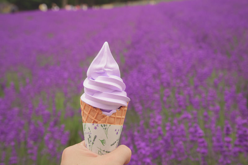 Hokkaido One-Day Tour: Furano Lavender, Blue Pond, Shikisai no Oka, Shirogane Blue Pond, Shirahige Waterfall, Ningle Terrace, Biei Trees, Snowmobile Experience (Departing from Sapporo) - Biei’s Blue Pond, Shirahige Falls, and Patchwork Road