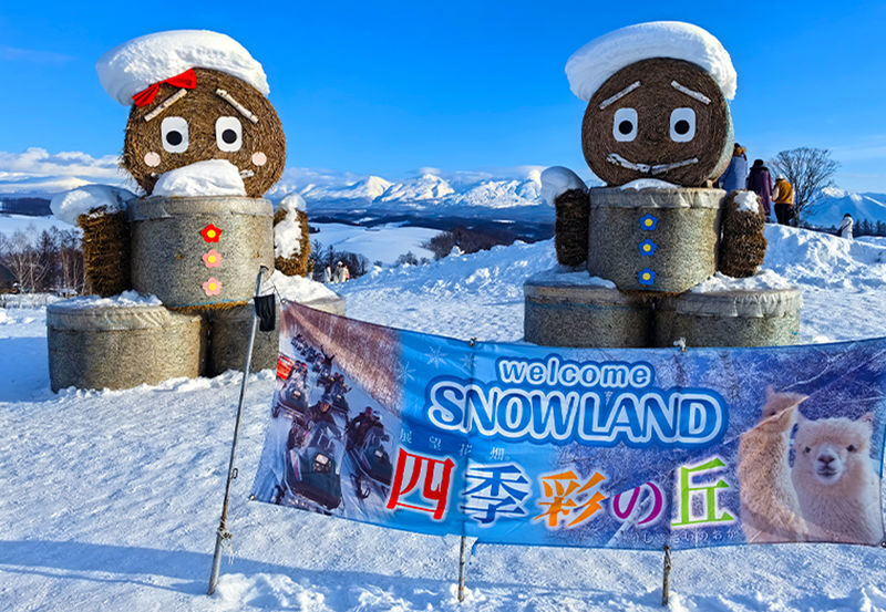 Hokkaido One-Day Tour | Shikisai no Oka & Farm Tomita & Asahiyama Zoo & Ningle Terrace | Depart from Sapporo - Winter routes: zoo, snowfields, and forest cabins