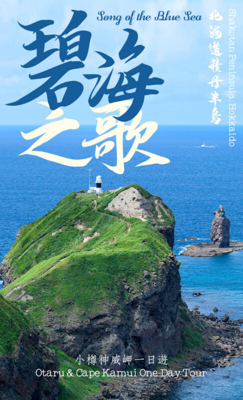 Hokkaido Otaru and Cape Kamui One-Day Small Group Tour - The bus makes a difficult day trip manageable