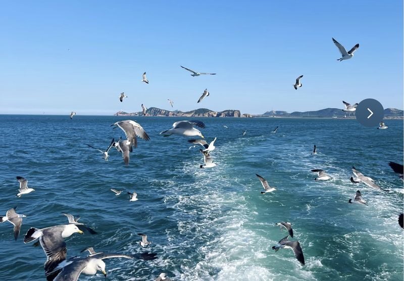 Hokkaido Otaru: Kamui Cape, Blue Cave & Otaru Canal (EN/CN Guide) - Is $53.69 a good value?