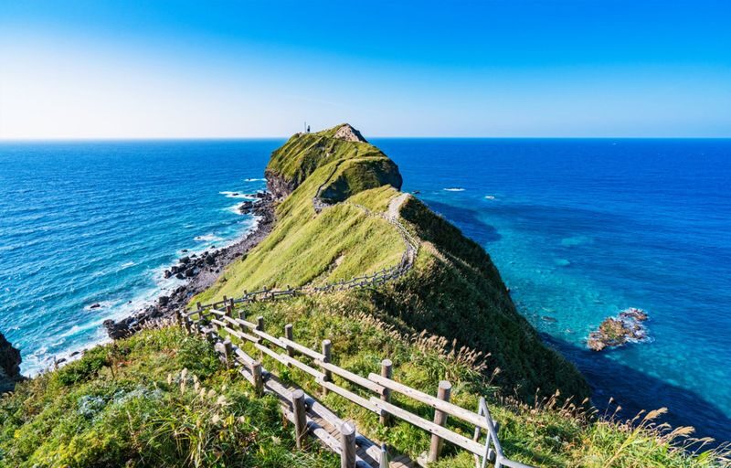 Hokkaido Private Customized Charter (Sapporo/Otaru/Noboribetsu/Biei/Furano/New Chitose/Niseko, etc. + Chinese/Japanese Driver + Toyota Alphard/Hiace Models + Green Plate Commercial Vehicle) - A Vehicle for Your Group, Not Just Your Bags