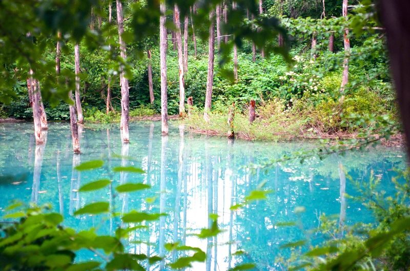 Hokkaido Romantic Story | Small Group In-depth Experience | Biei Town, Blue Pond, Furano Day Trip (Sapporo Round Trip) - Biei: a useful pause, not a long town stay