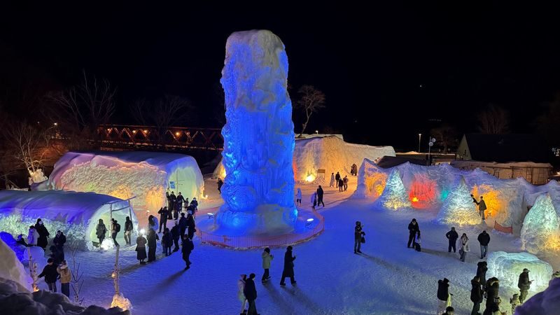 Hokkaido Sapporo/Chitose Lake Shikotsu Ice Museum Hyoto Festival Bus - What the Fare Covers, and What It Does Not