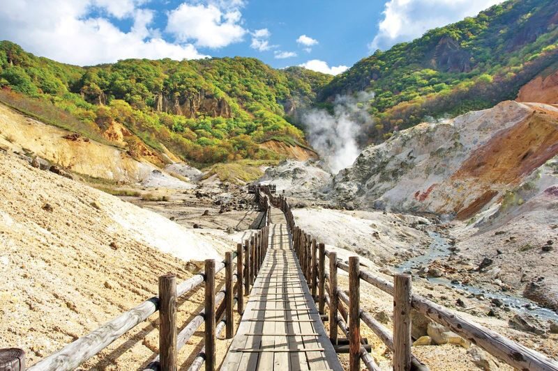 Hokkaido | Sapporo City/Furano/Lake Toya/Otaru Customized Private Car Day Tour - The long run to Furano and Biei