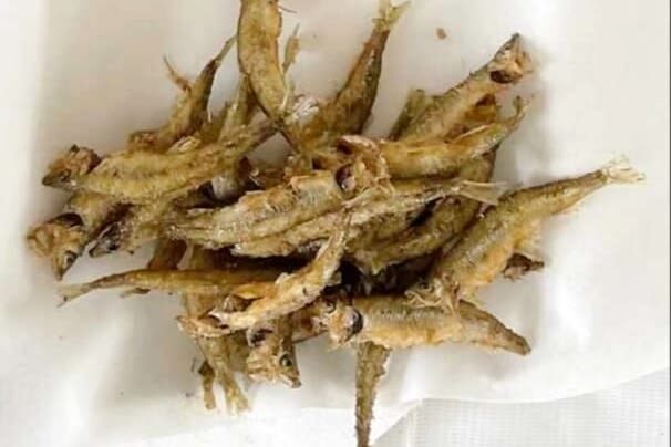 Hokkaido, Sapporo Ice Fishing: Sapporo Smelt Fishing Experience - Who Will Enjoy This Best