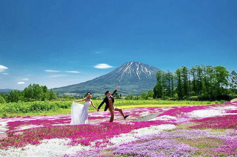 Hokkaido Sapporo Niseko Mount Yotei Scenic Tour: May Shibazakura and Tulips / July Lavender / September-October Red Kochia and Marsh Autumn Colors - The details that matter most