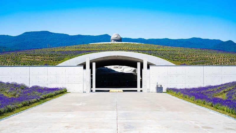 Hokkaido Sapporo Niseko Mount Yotei Scenic Tour: May Shibazakura and Tulips / July Lavender / September-October Red Kochia and Marsh Autumn Colors - Who should book this Hokkaido day trip?