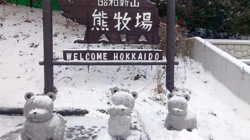 Hokkaido Seasonal: Lake Toya & Noboribetsu Jigokudani Valley - Practical Details & Tips