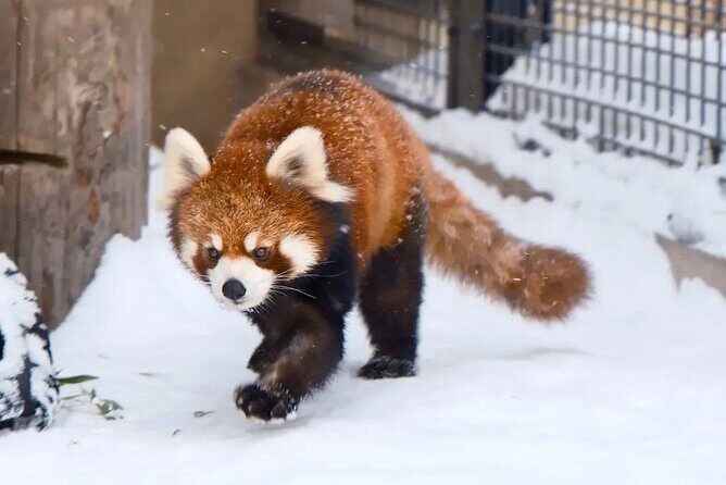 Hokkaido Secret Discovery Tour Depart from Sapporo - Exploring Hokkaido Through an Authentic Lens