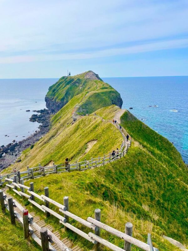 Hokkaido: Shakotan Sea Urchin & Yoichi Whisky Distillery 1-Day Tour - A long Hokkaido day with a clear seasonal focus