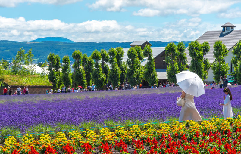 Hokkaido Shikisai no Oka & Farm Tomita Full-Day Small Group Adventure - The bus ride is part of the bargain