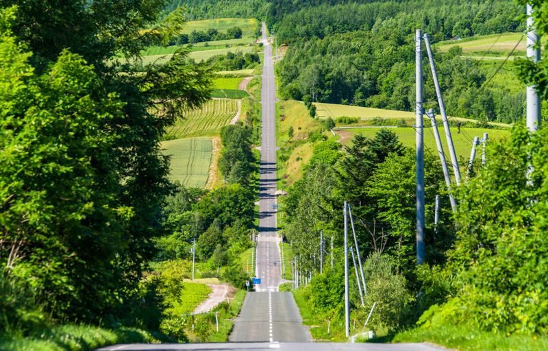 Hokkaido Shikisai no Oka & Farm Tomita Full-Day Small Group Adventure - How much time do you really get?