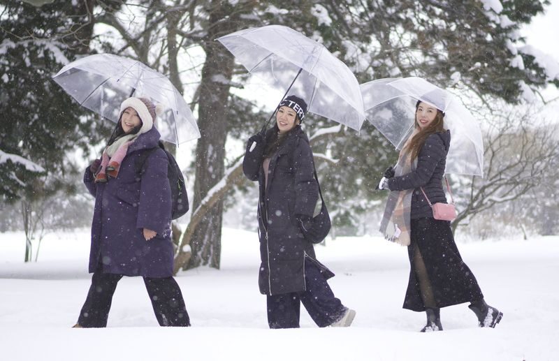 Hokkaido: Snap Photography Experience (Sapporo) - Weather, timing, and a little preparation