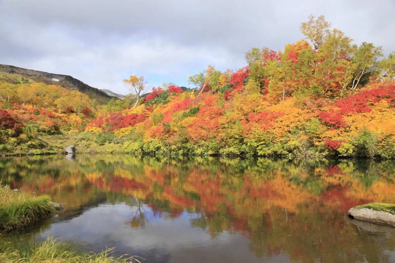Hokkaido Sounkyo Gorge Autumn Foliage Day Trip: Sounkyo Onsen Town, Ginga & Ryusei Waterfalls, Mt. Kurodake Ropeway, and - From Sapporo to Sounkyo: a long scenic day