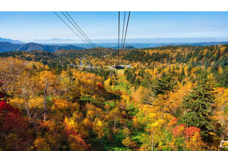 Hokkaido Sounkyo Gorge Autumn Foliage Day Trip: Sounkyo Onsen Town, Ginga & Ryusei Waterfalls, Mt. Kurodake Ropeway, and - Guides, pickup and the bus ride