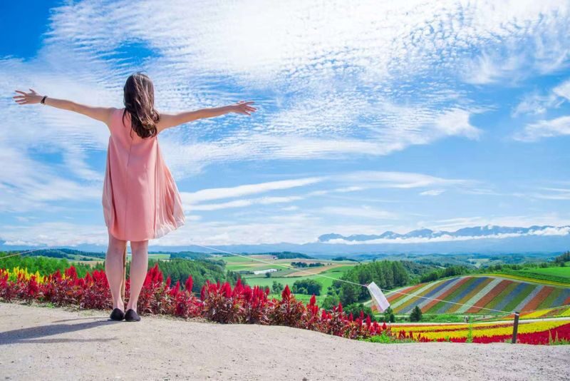 Hokkaido Summer Furano & Biei Day Tour - A practical way to see Furano and Biei