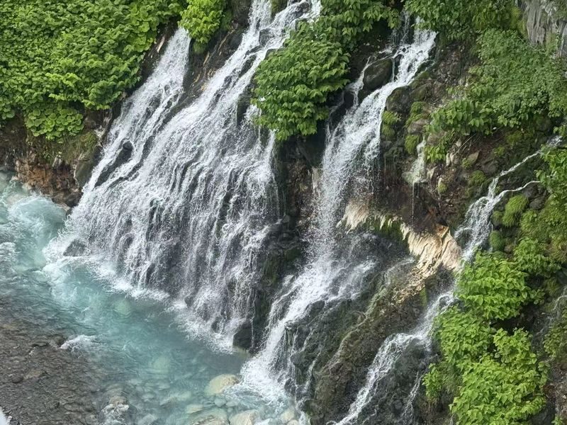 Hokkaido Summer Furano & Biei Day Tour - Who should book this Hokkaido day tour?