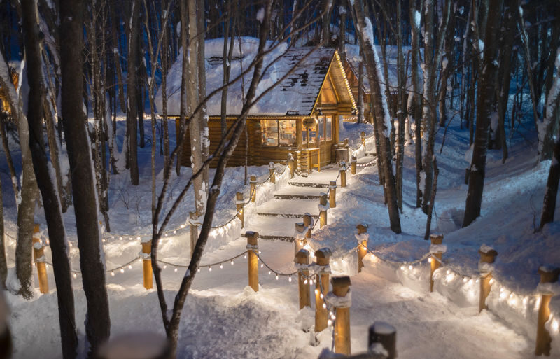Hokkaido Super Chill 2-Day Light Trip | ROYCE Chocolate Factory, Asahiyama Zoo, Biei Seven Star Tree, Shirahige Falls, Bibai Snowland Fun, Ningle Terrace Illumination | Chinese Tour Guide - The trip at a glance