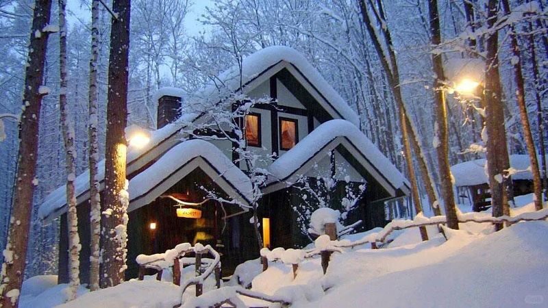 Hokkaido Super Chill 2-Day Light Trip | ROYCE Chocolate Factory, Asahiyama Zoo, Biei Seven Star Tree, Shirahige Falls, Bibai Snowland Fun, Ningle Terrace Illumination | Chinese Tour Guide - From Sapporo to ROYCE’ Chocolate Factory