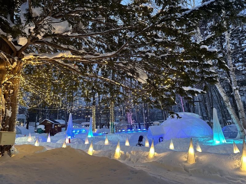 Hokkaido Super Chill 2-Day Light Trip | ROYCE Chocolate Factory, Asahiyama Zoo, Biei Seven Star Tree, Shirahige Falls, Bibai Snowland Fun, Ningle Terrace Illumination | Chinese Tour Guide - Is this the right two-day Hokkaido tour for you?