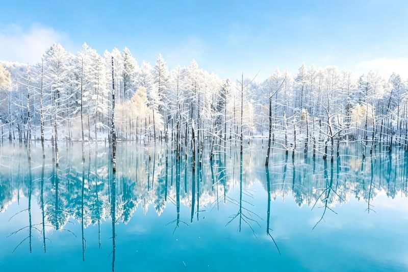 Hokkaido Winter Full-Day Tour | Penguin Walk, Platinum Blue Pond, Shirahige Falls, Forest Elf Terrace | Departure from Sapporo, Chinese and English Tour Guide - A long ride opens up Hokkaido’s winter sights