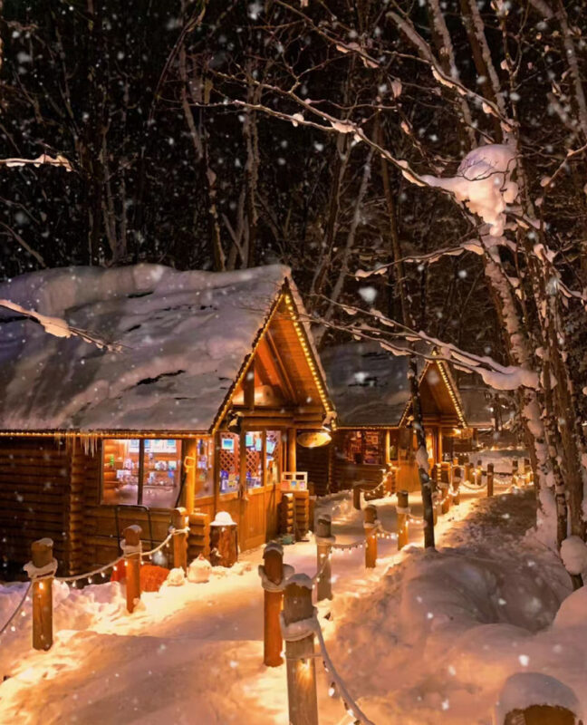 (Hokkaido Winter Illumination) Blue Pond Illumination & Ningle Terrace & Shirahige Waterfall & Shikisai no Oka & Biei Christmas Tree One-Day Tour (Departing from Sapporo) - Ningle Terrace: small cabins, handmade work