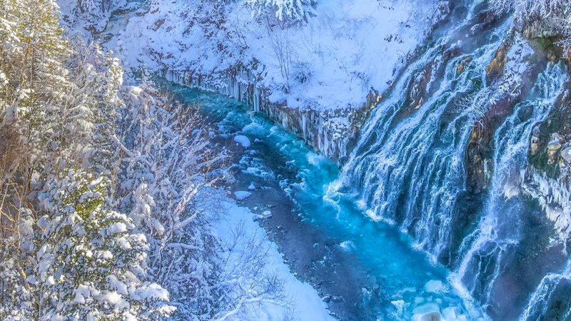 (Hokkaido Winter Illumination) Blue Pond Illumination & Ningle Terrace & Shirahige Waterfall & Shikisai no Oka & Biei Christmas Tree One-Day Tour (Departing from Sapporo) - The Lonely Christmas Tree and its backup