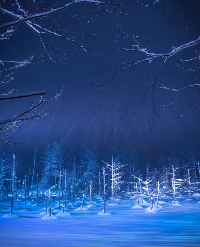 (Hokkaido Winter Illumination) Blue Pond Illumination & Ningle Terrace & Shirahige Waterfall & Shikisai no Oka & Biei Christmas Tree One-Day Tour (Departing from Sapporo) - Shirahige Falls: underground water in winter