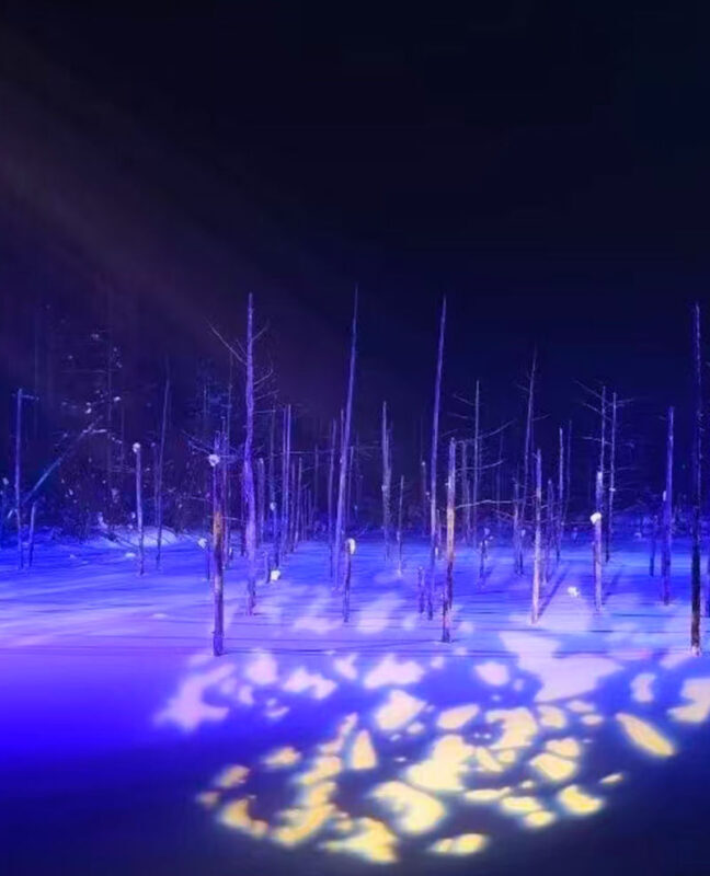 (Hokkaido Winter Illumination) Blue Pond Illumination & Ningle Terrace & Shirahige Waterfall & Shikisai no Oka & Biei Christmas Tree One-Day Tour (Departing from Sapporo) - Blue Pond after dark: expect light, not summer-blue water