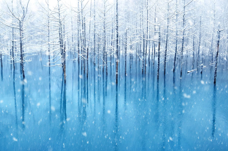Hokkaido Winter Limited: Asahiyama Zoo & Shirogane Blue Pond & Shirasu Waterfall & Shikisai-no-Oka (Optional Snowmobile Experience) & Forest Elf Terrace Day Tour - The classic route’s frozen water and blue ice