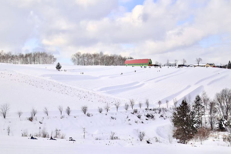 Hokkaido Winter Limited: Asahiyama Zoo & Shirogane Blue Pond & Shirasu Waterfall & Shikisai-no-Oka (Optional Snowmobile Experience) & Forest Elf Terrace Day Tour - Ningle Terrace: cabins in the trees
