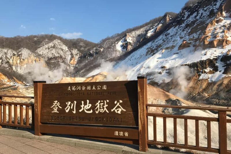 Hokkaido Winter : Sapporo to Noboribetsu, Lake Toya, Volcano - Who Should Consider This Tour?