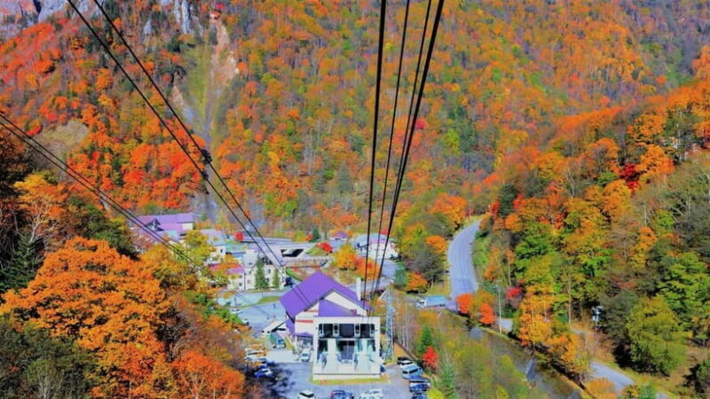 HokkaidoKurodake Ropeway, Asahiyama Zoo Autumn Leaves Tour - Exploring the Details of Your Autumn Adventure in Hokkaido