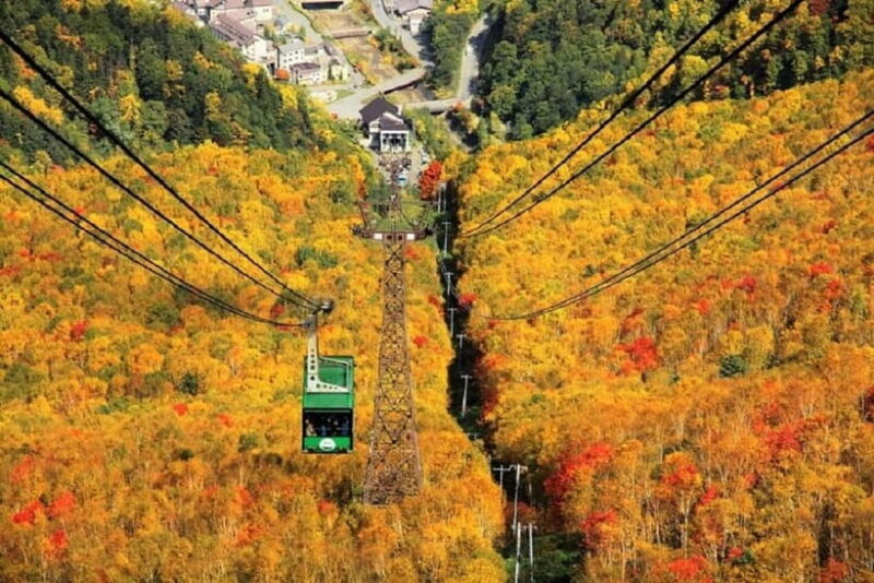 HokkaidoKurodake Ropeway, Asahiyama Zoo Autumn Leaves Tour - Who Should Consider This Tour?