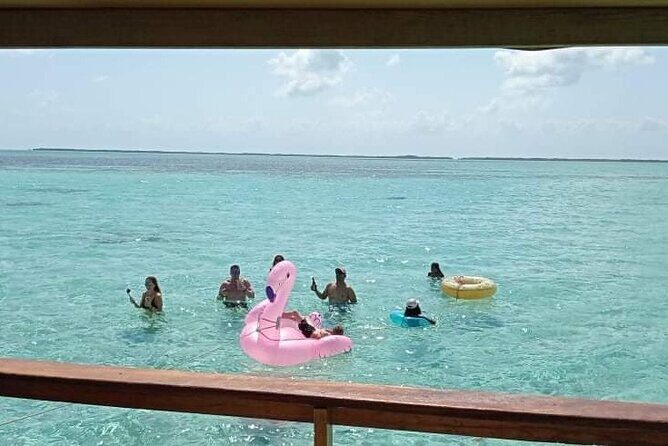 Hol Chan, Shark Ray Full-Day Snorkeling Tour From San Pedro Belize - A Closer Look at the Hol Chan, Shark Ray Full-Day Snorkeling Tour