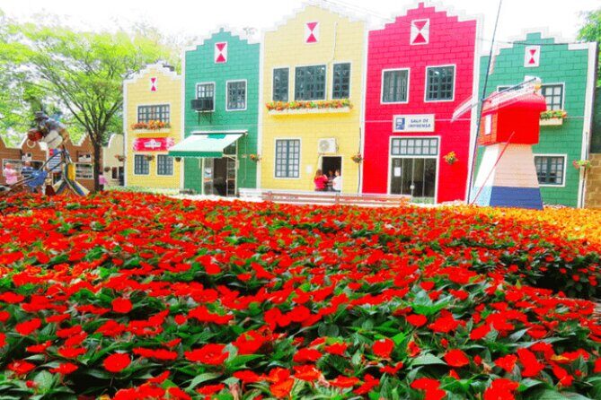 Holambra: Flowers & Windmill, The Little Piece Of Netherlands in Brazil - Exploring Holambra: A Taste of Holland in Brazil