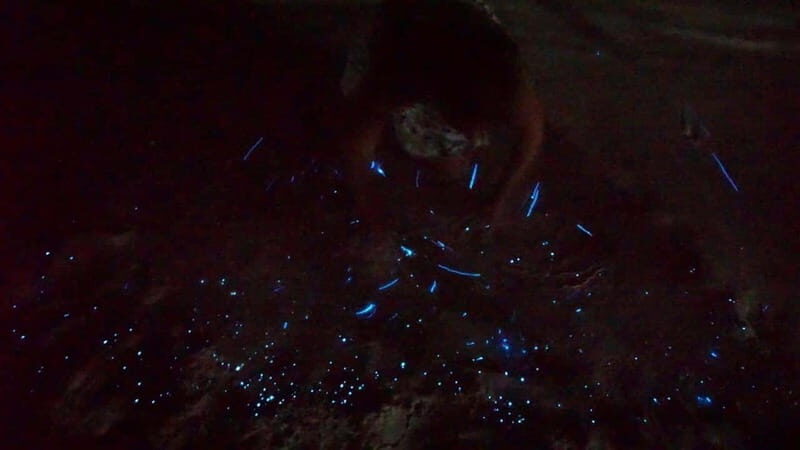 Holbox: Bioluminescence by Kayak and Stargazing. - Who Will Love This Tour?