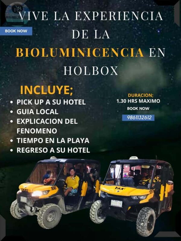 Holbox: Bioluminescence Tour in Canam - The Value of This Tour