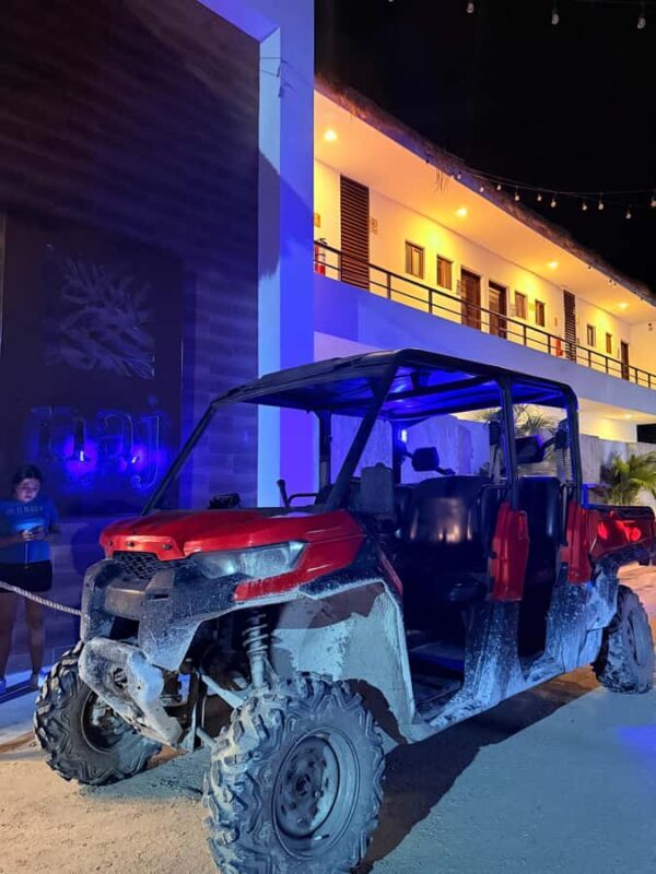 Holbox: Bioluminescence Tour in Canam - Who Will Appreciate This Experience?