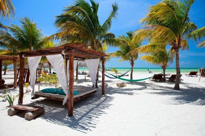 Holbox : boat tour, golfcart, beach club, pick up available - Key Points