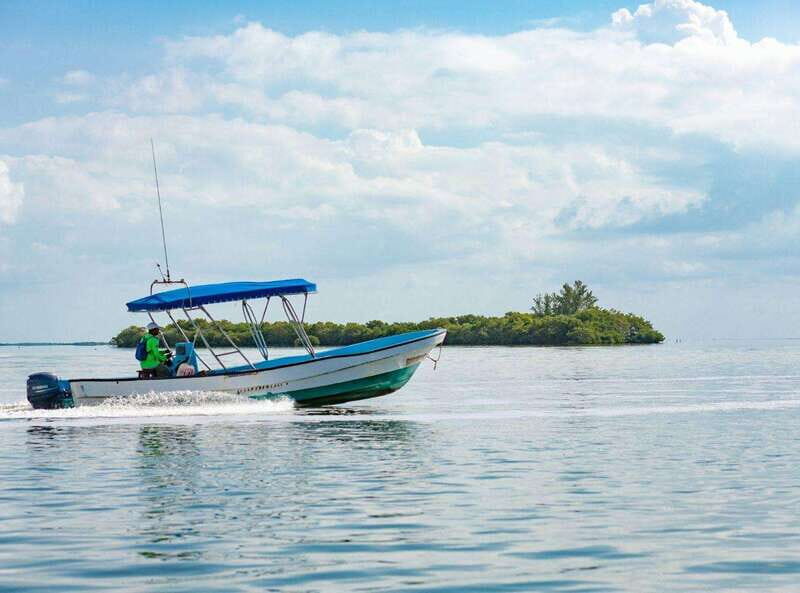 Holbox Discovery: Experience the Authentic Essence, Adventure, Taste and Relaxation - Final Thoughts: Who Will Appreciate This Tour?
