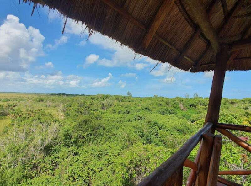 Holbox Discovery: Experience the Authentic Essence, Adventure, Taste and Relaxation - FAQ