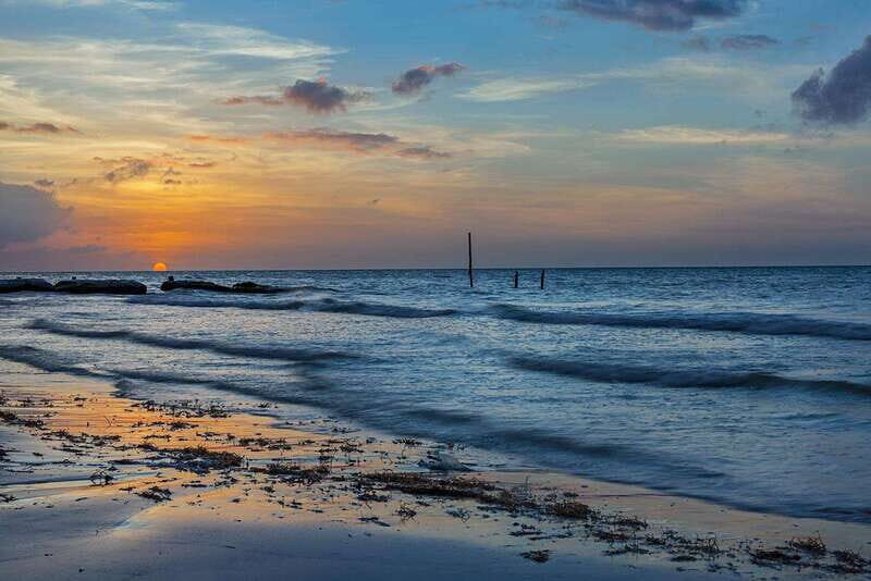 Holbox: Guided Bioluminescence Kayaking Tour - Key Points