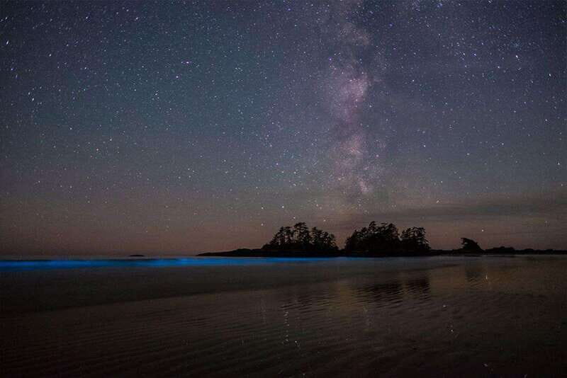 Holbox: Guided Bioluminescence Kayaking Tour - FAQs