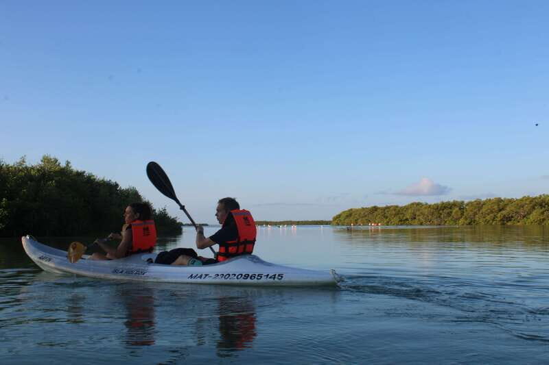 Holbox: Guided Sunrise/Sunset Kayak Tour by Mangrove Reserve - Discovering the Mangroves of Holbox