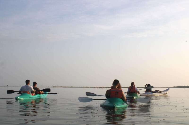 Holbox: Guided Sunrise/Sunset Kayak Tour by Mangrove Reserve - What to Expect on the Tour
