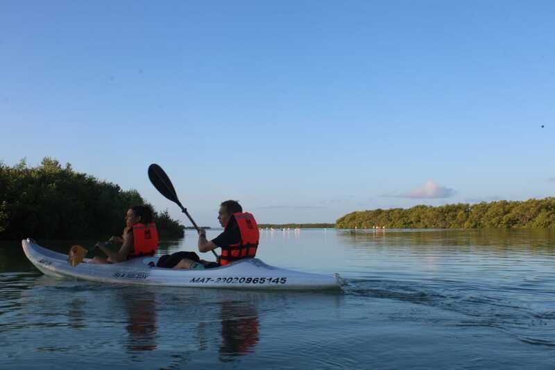 Holbox: Guided Sunrise/Sunset Kayak Tour by Mangrove Reserve - Value for Money