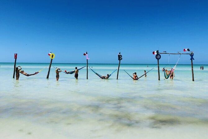 Holbox Island Experience with Lunch - Experience the Magic of Holbox: A Full-Day Adventure from Playa del Carmen